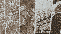A landscape is a network of provocations, with Dima Mabsout and Alberto Miguel Vazquez